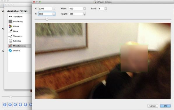 Programma Per Oscurare I Volti Nei Video